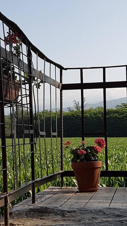 Country house Podere Casina Rossa