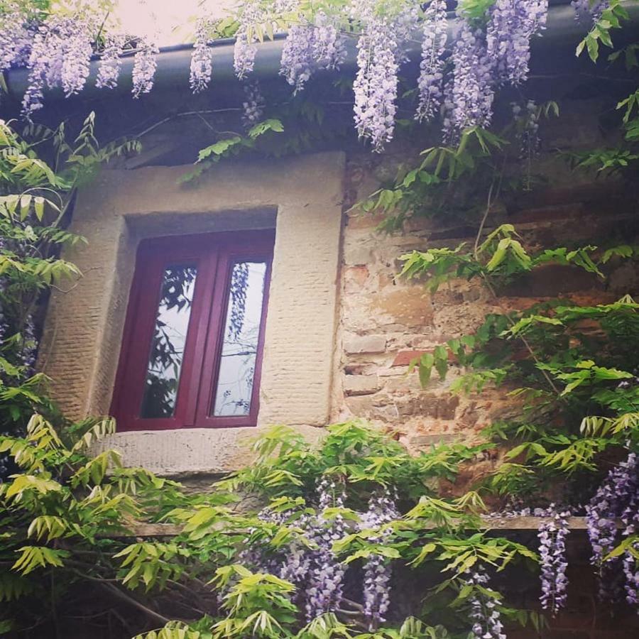 Casa de Campo Podere Casina Rossa Poppi