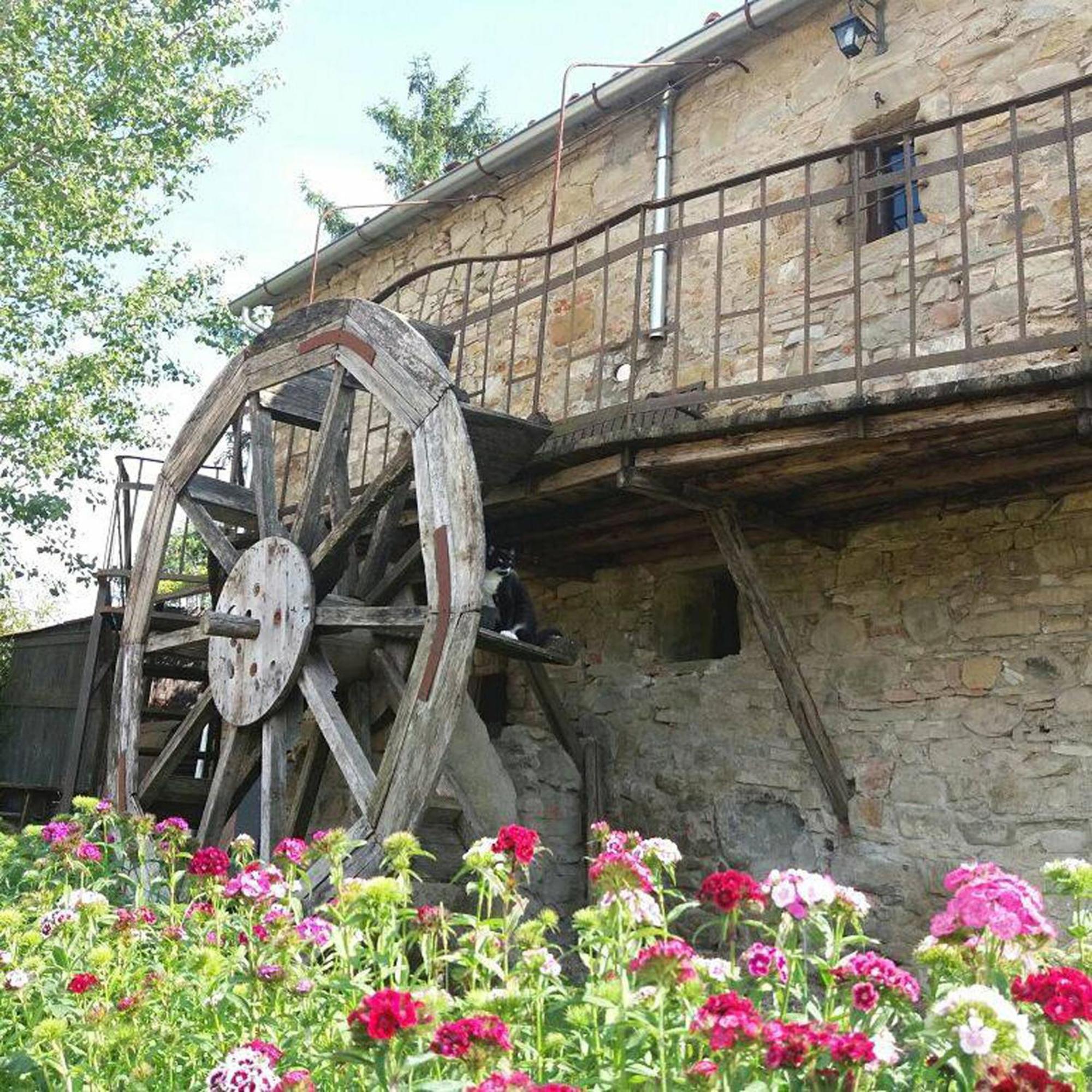 Podere Casina Rossa * Poppi